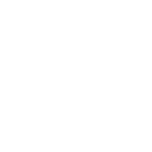the webby awards